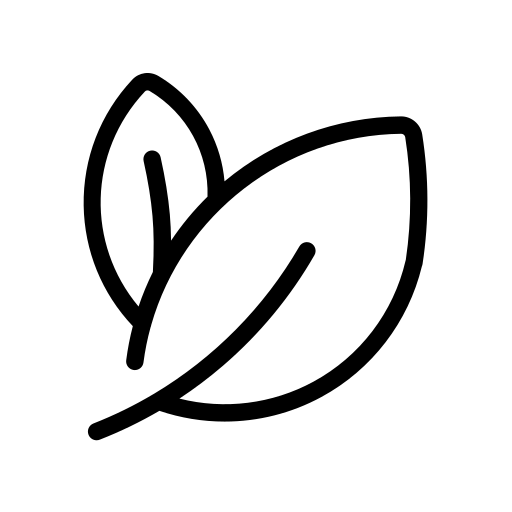 Leaves icon representing natural connection and growth